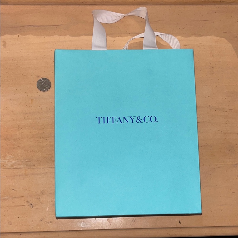Large Tiffany & Co. Turquoise Bag with White Handles